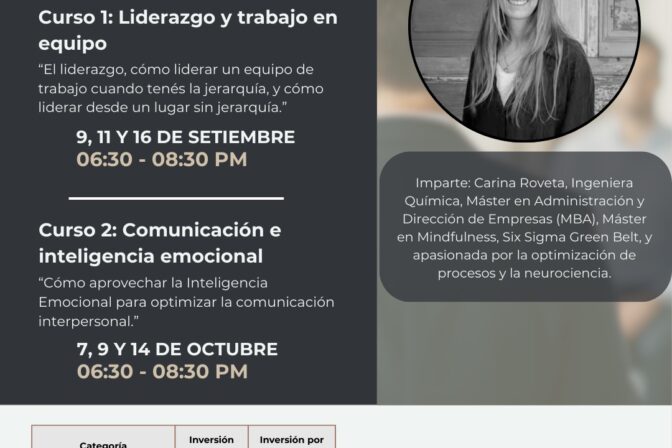 Curso Online – Liderazgo y trabajo en equipo