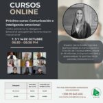 Curso Online – Liderazgo y trabajo en equipo